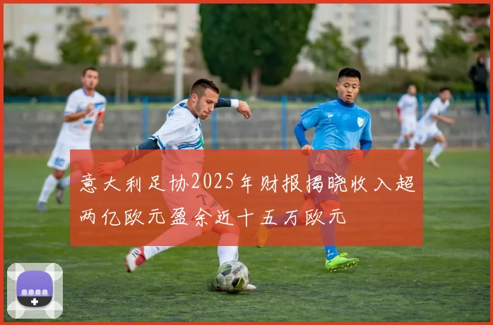意大利足协2025年财报揭晓收入超两亿欧元盈余近十五万欧元