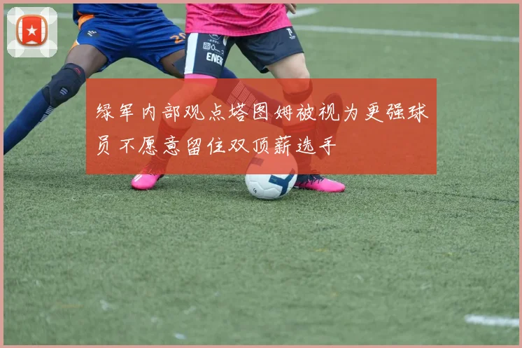 绿军内部观点塔图姆被视为更强球员不愿意留住双顶薪选手